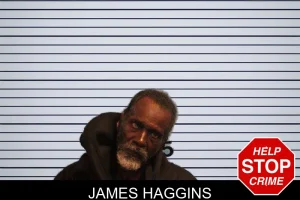 James Haggins mugshot