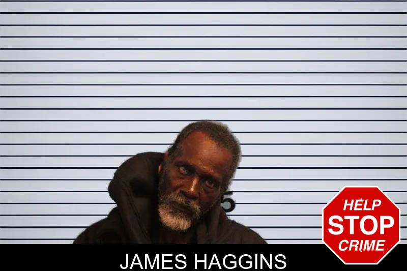 James Haggins mugshot
