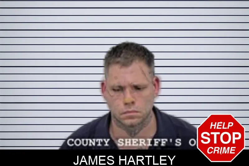 James Hartley mugshot – Walton County , Georgia James Hartley mugshot