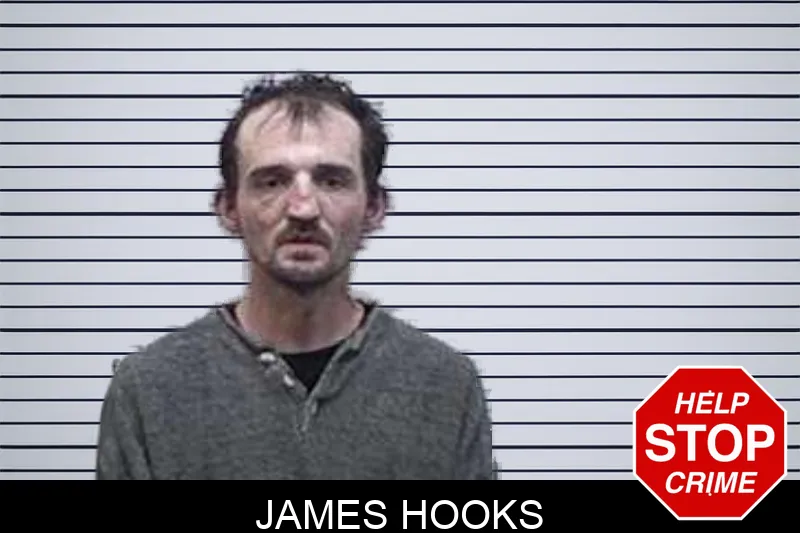 James Hooks mugshot – Tattnall County , Georgia James Hooks mugshot