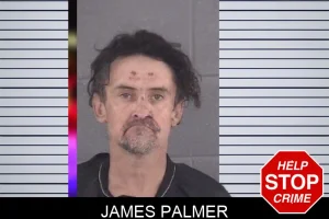 James Palmer mugshot