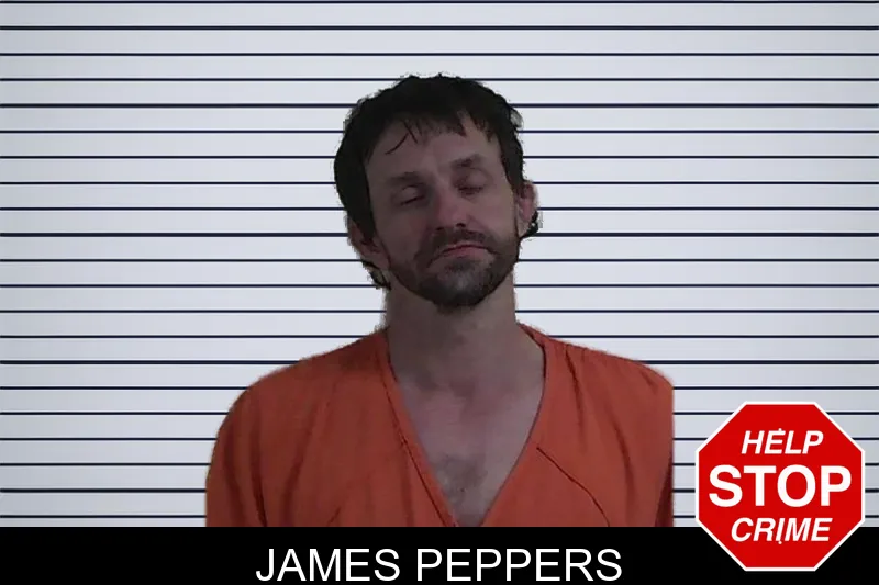 James Peppers mugshot – Fannin County , Georgia James Peppers mugshot