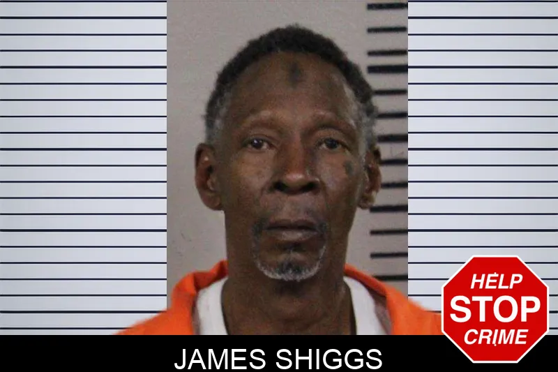 James Shiggs mugshot – Lamar County , Georgia James Shiggs mugshot
