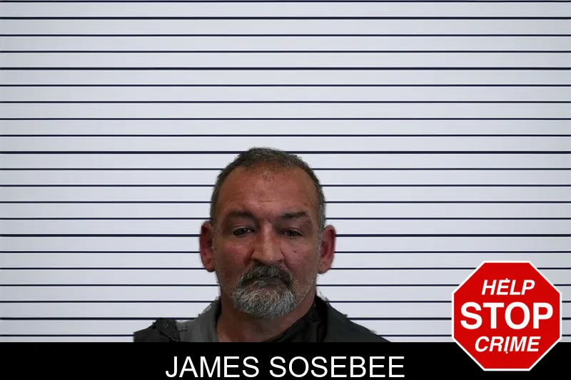 James Sosebee mugshot