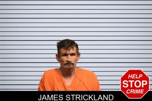 James Strickland mugshot