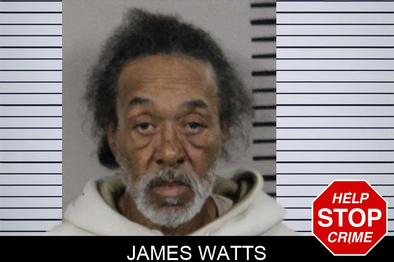 James Watts mugshot – Lamar County , Georgia James Watts mugshot