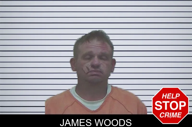James Woods mugshot