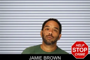 Jamie Brown mugshot