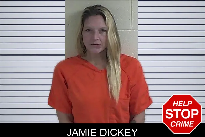 Jamie Dickey mugshot