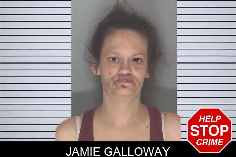 Jamie Galloway mugshot – Douglas County , Georgia Jamie Galloway mugshot