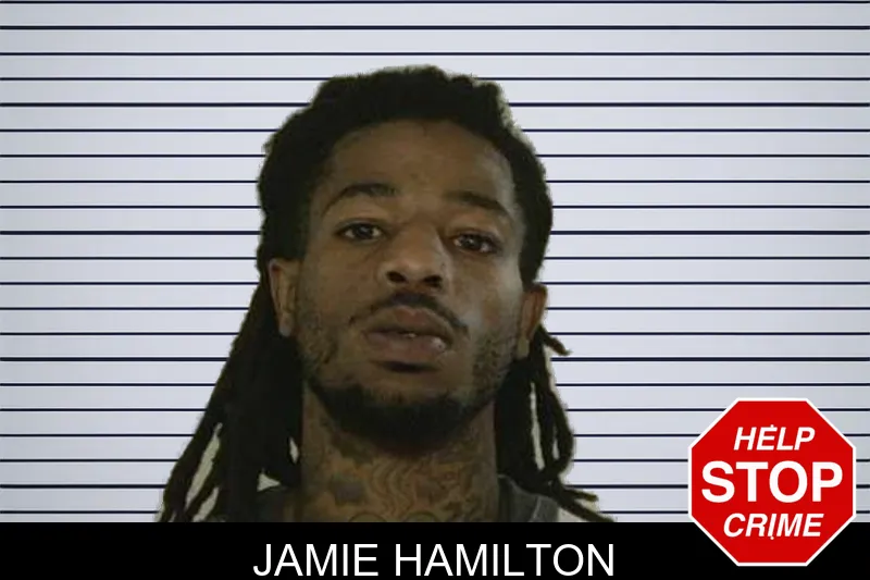 Jamie Hamilton mugshot