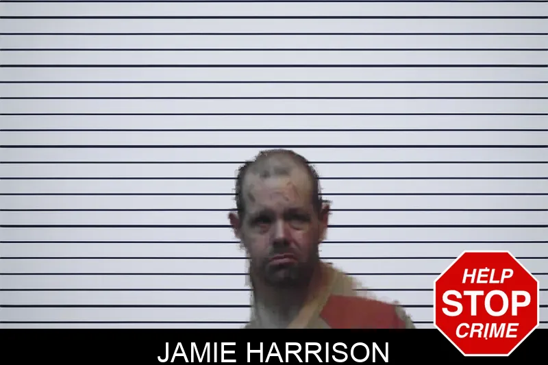 Jamie Harrison mugshot