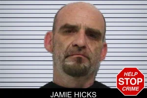 Jamie Hicks mugshot