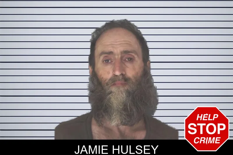 Jamie Hulsey mugshot – Douglas County , Georgia Jamie Hulsey mugshot