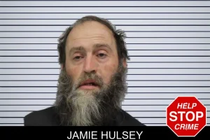 Jamie Hulsey mugshot