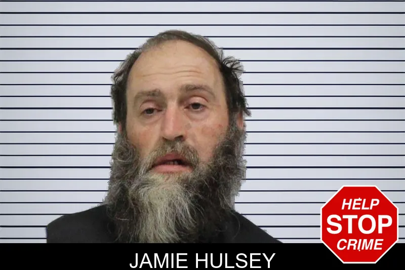 Jamie Hulsey mugshot