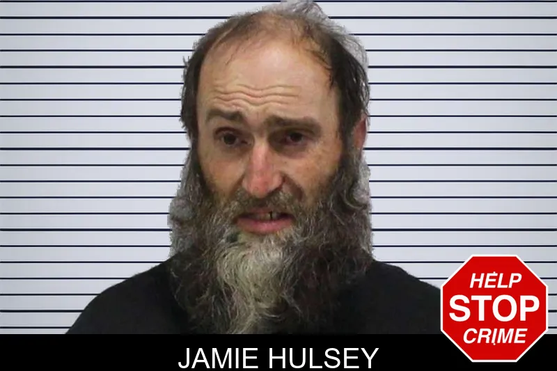 Jamie Hulsey mugshot – Carroll County , Georgia Jamie Hulsey mugshot