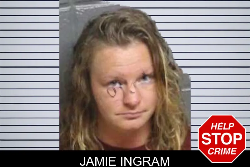 Jamie Ingram mugshot