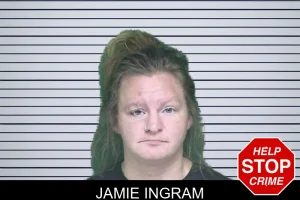Jamie Ingram mugshot
