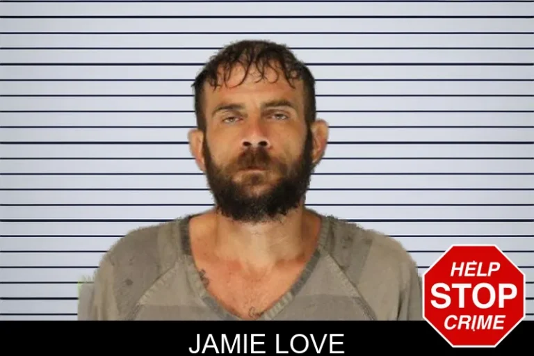 Jamie Love