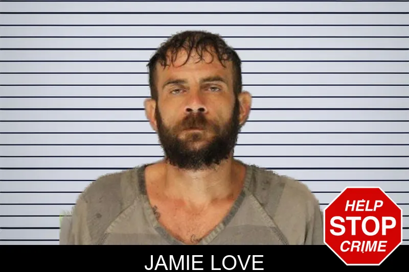 Jamie Love mugshot