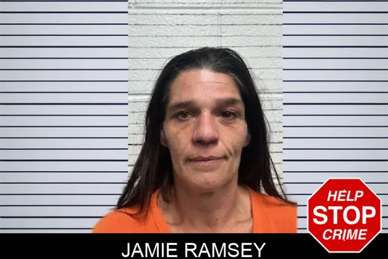Jamie Ramsey mugshot – Dade County , Georgia Jamie Ramsey