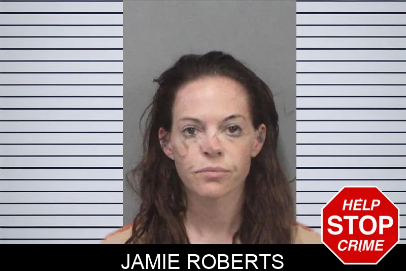 Jamie Roberts mugshot – White County , Georgia Jamie Roberts mugshot