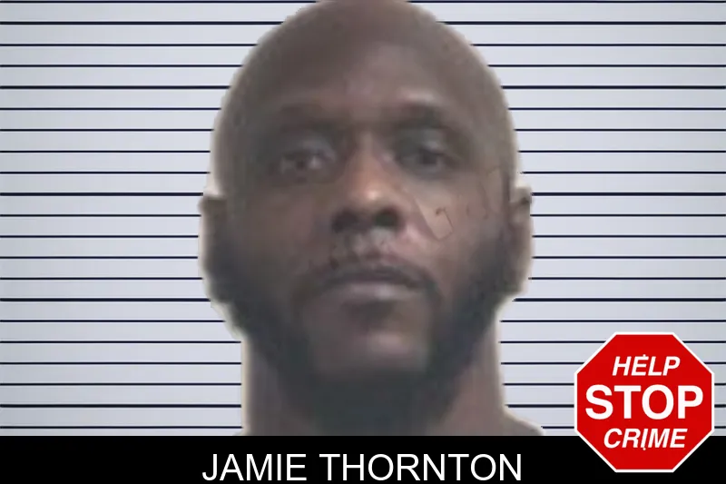 Jamie Thornton mugshot