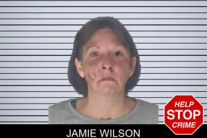 Jamie Wilson mugshot