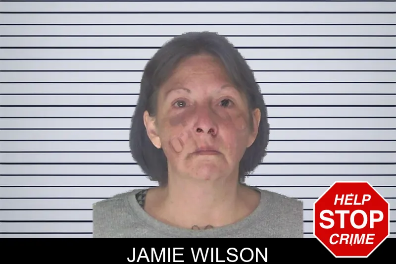 Jamie Wilson mugshot
