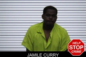 Jamile Curry mugshot