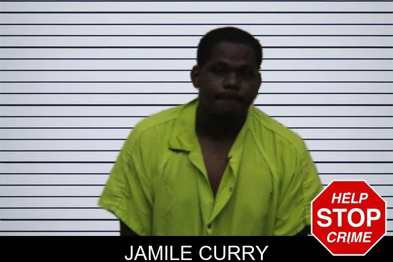 Jamile Curry mugshot