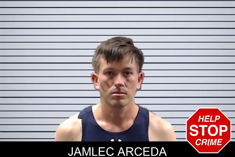 Jamlec Arceda mugshot