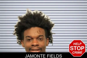 Jamonte Fields mugshot