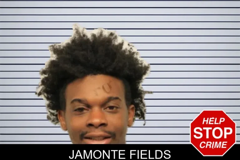 Jamonte Fields mugshot – Chatham County , Georgia Jamonte Fields