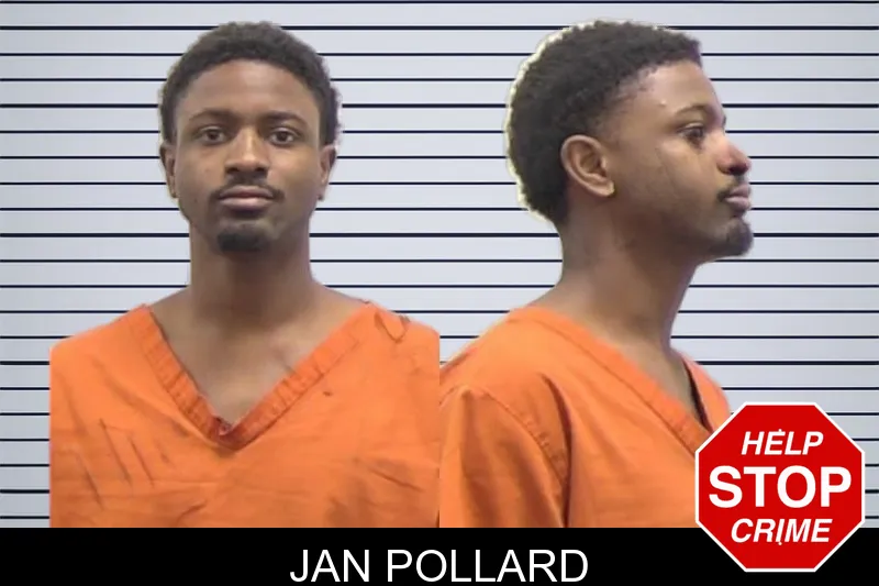 Jan Pollard mugshot