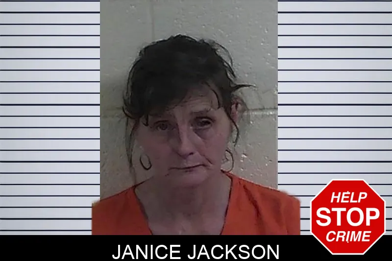 Janice Jackson mugshot – Fannin County , Georgia Janice Jackson mugshot