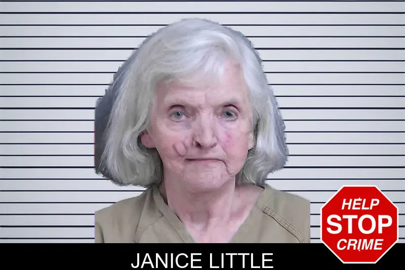 Janice Little mugshot