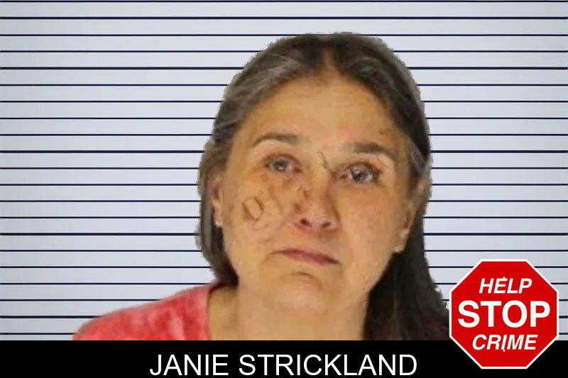 Janie Strickland mugshot