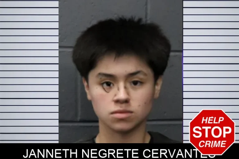 Janneth Negrete Cervantes