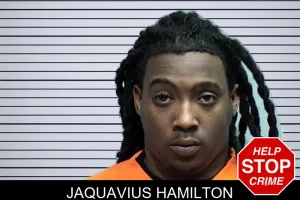 Jaquavius Hamilton mugshot