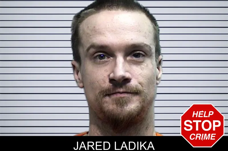 Jared Ladika mugshot – Effingham County , Georgia Jared Ladika mugshot