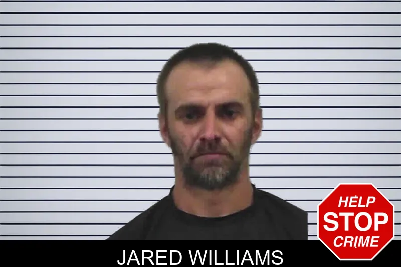Jared Williams mugshot