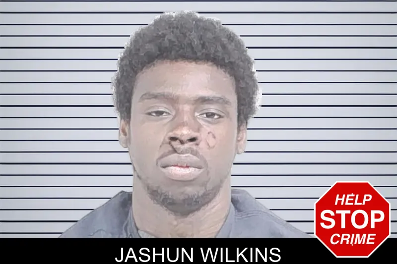 Jashun Wilkins mugshot – Lowndes County , Georgia Jashun Wilkins mugshot