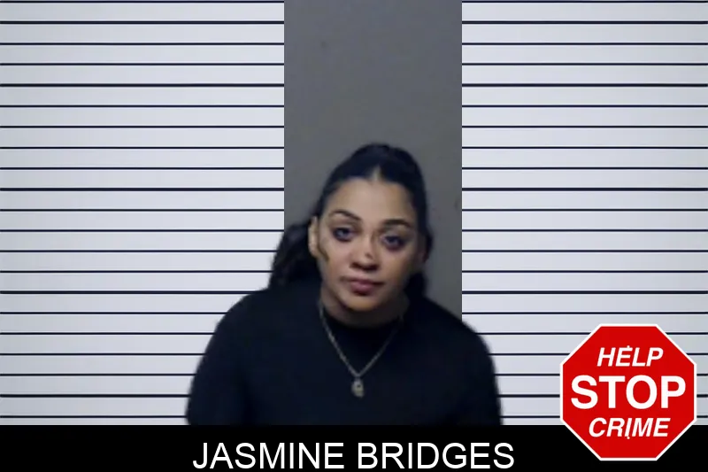 Jasmine Bridges mugshot – DeKalb County , Georgia Jasmine Bridges mugshot