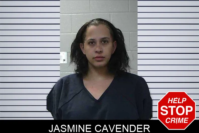 Jasmine Cavender mugshot – Gilmer County , Georgia Jasmine Cavender mugshot