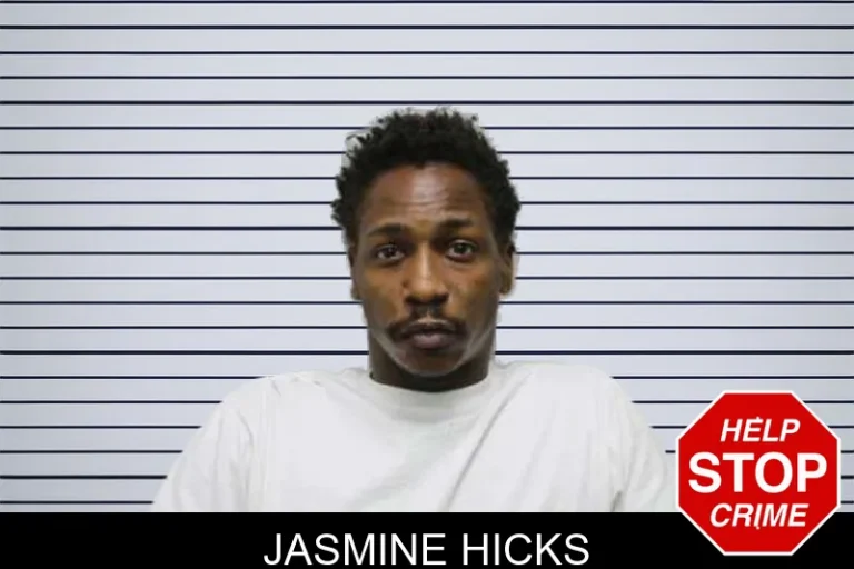 Jasmine Hicks mugshot – Harris County , Georgia Jasmine Hicks