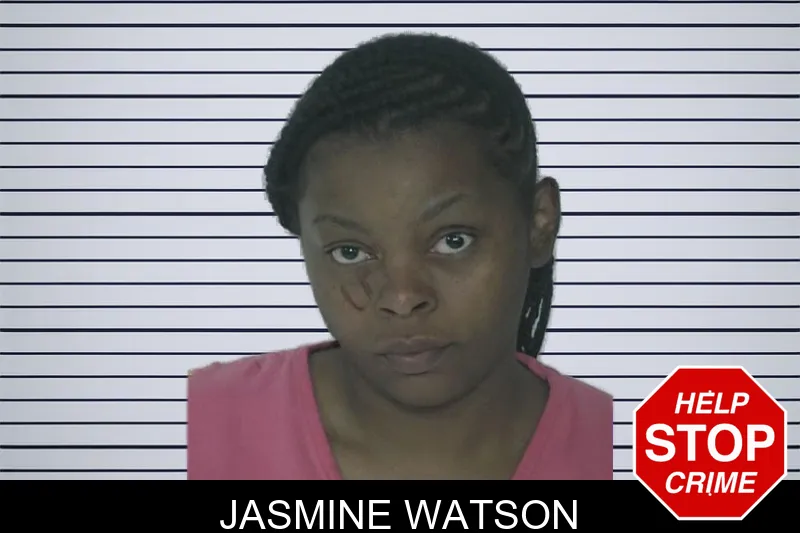 Jasmine Watson mugshot – Fayette County , Georgia Jasmine Watson mugshot