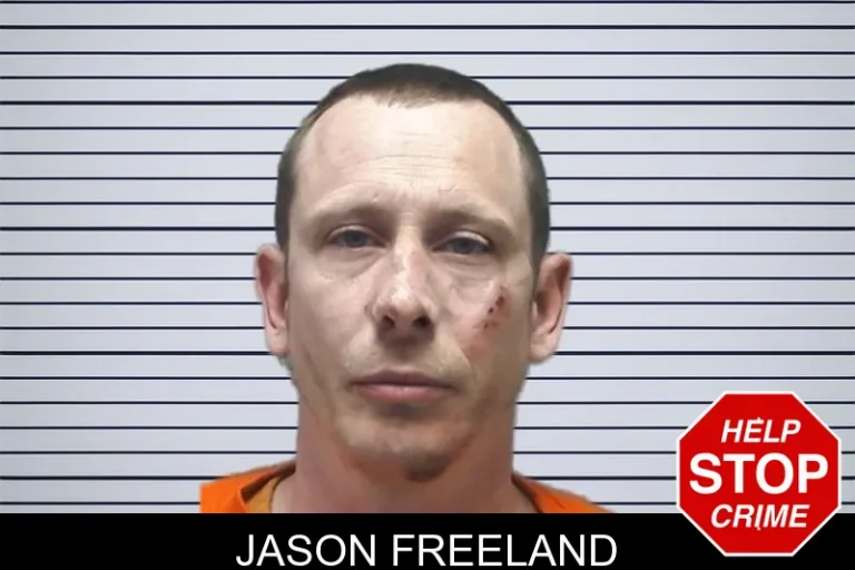 Jason Freeland