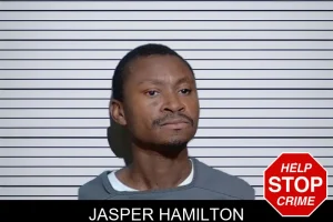 Jasper Hamilton mugshot